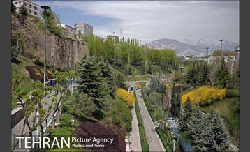 روز طبیعت در بوستان نهج البلاغه 9