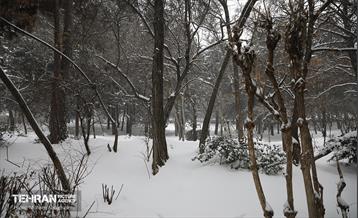 روز برفی تهران - 2 23