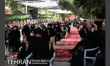 زیر آسمان روضه 5