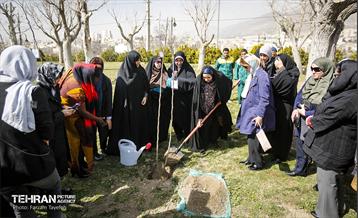 آیین درختکاری در منطقه‌5 16