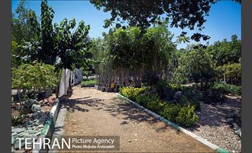 آیین افتتاحیه سه طرح مدیریت پسماند در منطقه ۵