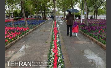 جشنواره لاله‌ها در بوستان زندگی محله هرندی 2