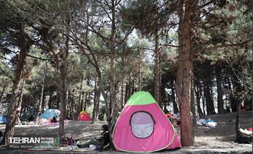 روز طبیعت در پارک جنگلی لویزان 33