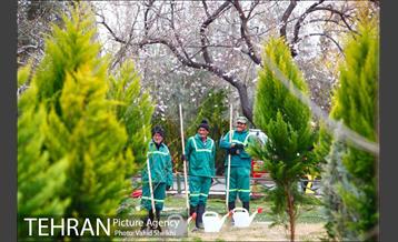 مراسم کاشت نهال در هفته منابع طبیعی (درخت فرهنگ و هنر) 16