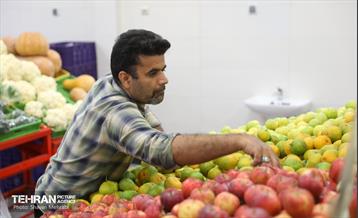 بهره‌برداری از پروژه‌های خدمات شهری در منطقه ۱۷ 14