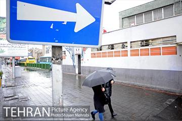 بارش باران بهاری در تهران 14