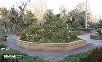 هشتادوششمین رویداد امیدوافتخار 41