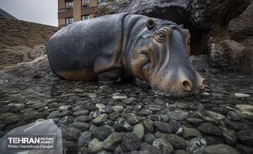 اقیانوس پارک  32