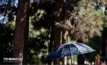 رویداد فرهنگی،هنری «جشن باران» 9