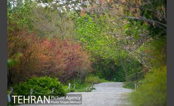باغ گیاه‌شناسی ملی ایران 9