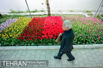 پیاده راه لاله مادران 49