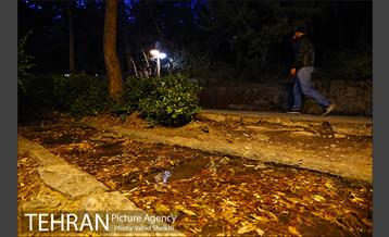 بوستان جمشیدیه 25