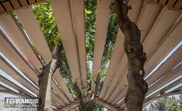 نخستین ایستگاه اتوبوس‌های بی آر تی با معماری ایرانی و اسلامی  11