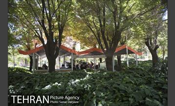 بوستان شفق‎ 17