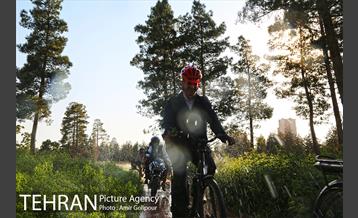 بازدید پیروز حناچی شهردار تهران از بوستان جنگلی چیتگر تا دریاچه شهدای خلیج فارس 15