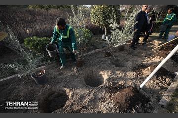 کاشت نهال به یاد شهدا در برج میلاد 5