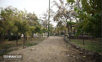 طبیعت پاییزی باغ راه فدک تهران 22