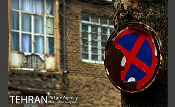 وردیج ، دنیایی از زیبایی 28