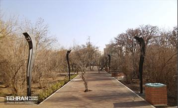 هشتادوششمین رویداد امیدوافتخار 21