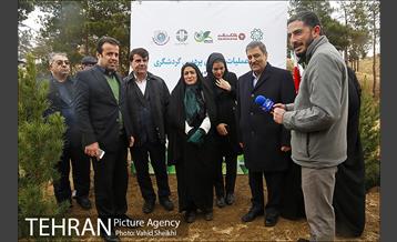 آغاز عملیات اجرایی نهضت درختکاری پردیس گردشگری 20