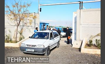 رهاسازی 150 قلاده سگ بدون صاحب  23