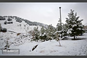 درکه پس از بارش برف  4