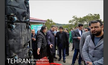 آیین غرس پنچ هزار اصله نهال در اراضی جنگل لویزان 18