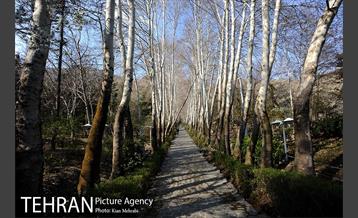 بوستان جمشیدیه (باغ سنگی جمشیدیه) 4