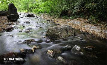 باغ گیاه‌شناسی 21