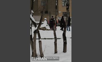 بارش برف در تهران 11
