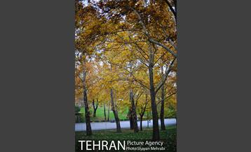 پاییز در بوستان ملت 35