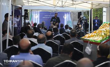 افتتاح ۲ بازار میوه و تره‌بار در تهران 22