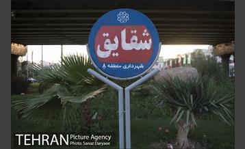 میدان شقایق‎ 23