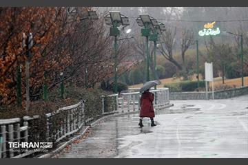 بارش باران زمستانی در تهران 30