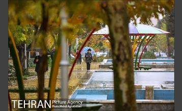 حال و هوای بارانی میدان هفت حوض  7