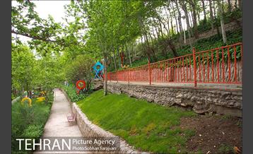 بوستان ساعی 1