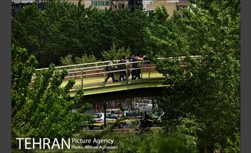 پل جدید بوستان آب و آتش 22