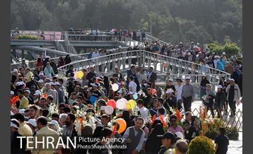 همایش پیاده روی خانوادگی کارکنان شهرداری 24