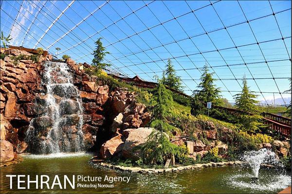 فصل بهار در بوستان های منطقه 4 8