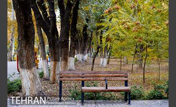 پاییز پارک شهر 13