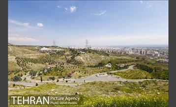 بوستان جنگلی کوهسار 28