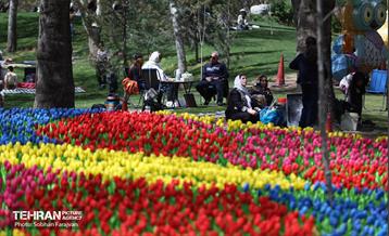 روز طبیعت در بوستان ملت 10