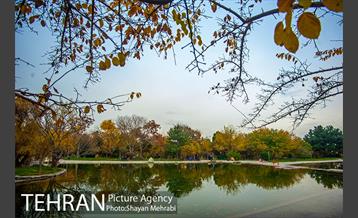 باغ گیاه‌شناسی ملی ایران 38