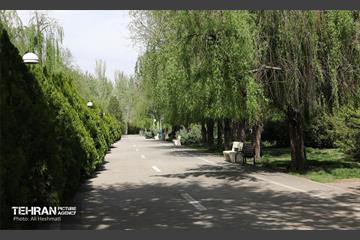 بوستان بانوان نرگس 24
