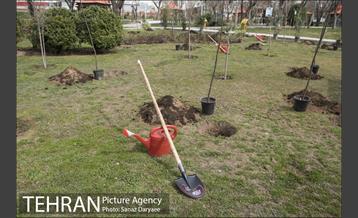 درختکاری و لانه گذاری کبوتر در بوستان بعثت 15