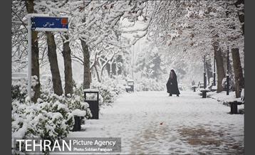 بارش برف زمستانی در تهران-2 16