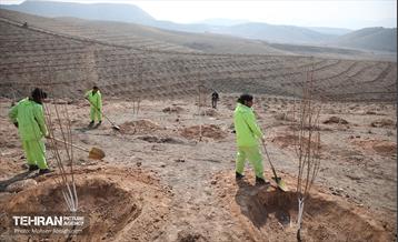 نشست خبری معاون خدمات شهری و محیط زیست 7