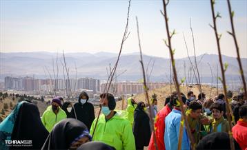 نهال کاری شهردار تهران و رئیس جمهور به مناسبت روز درختکاری 8