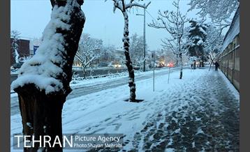 صبح برفی تهران 39