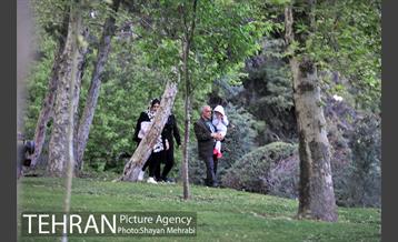 بوستان ملت 44